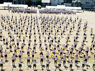 �c���\�̎ʐ^01