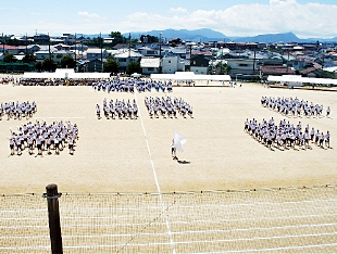 �c���\�̎ʐ^04