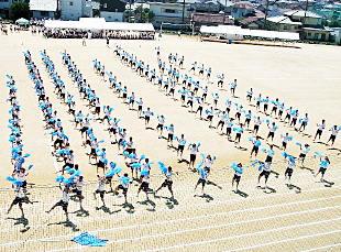 �c���\�̎ʐ^06