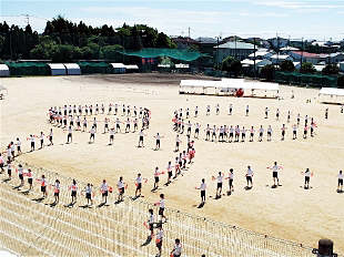 �c���\�̎ʐ^07