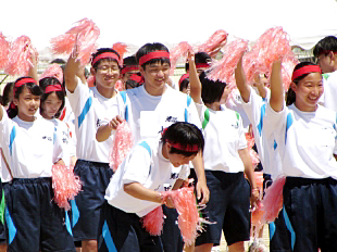 �c���\�̎ʐ^08