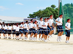 �P�N�c�Z�̎ʐ^01