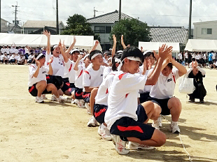 �P�N�c�Z�̎ʐ^04