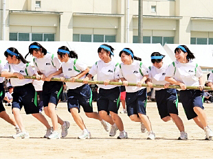 �R�N�c�Z�̎ʐ^02