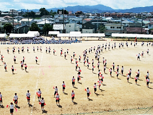 �c���\�̎ʐ^03