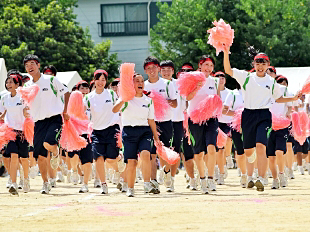 �c���\�̎ʐ^04