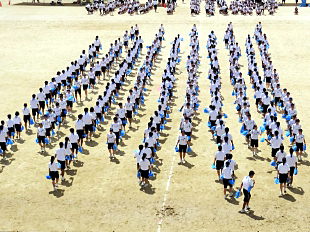 �c���\�̎ʐ^05