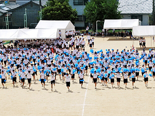 �c���\�̎ʐ^06