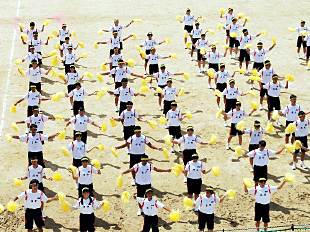 �c���\�̎ʐ^08