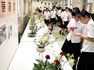 �u�ؓ��� �W���v�ʐ^