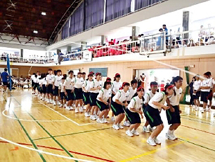 �P�N�c�Z�̎ʐ^04