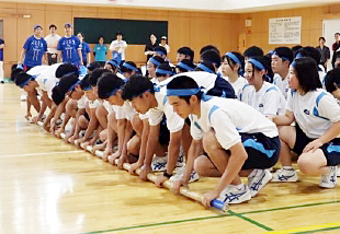 �R�N�c�Z�̎ʐ^01