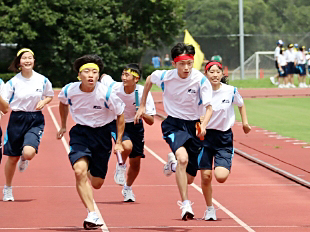 �z�[�����[�������[�̎ʐ^04