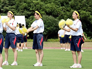 �c�΍R�c���\�̎ʐ^04