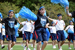 �c�΍R�c���\�̎ʐ^04