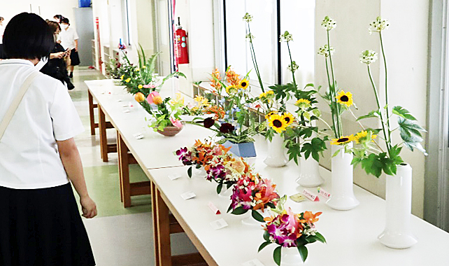 �u�ؓ��� �W���v�ʐ^