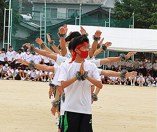 �c�΍R�c���\�i�R�N���j�̎ʐ^06