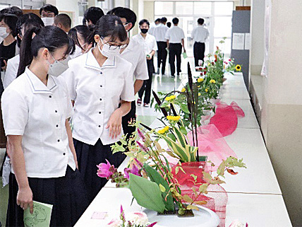 �u�ؓ��� �W���v�ʐ^