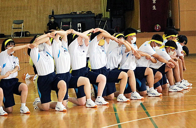 �R�N�c���\�̎ʐ^01