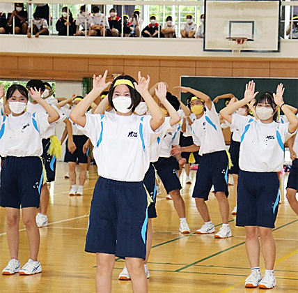 �R�N�c���\�̎ʐ^03