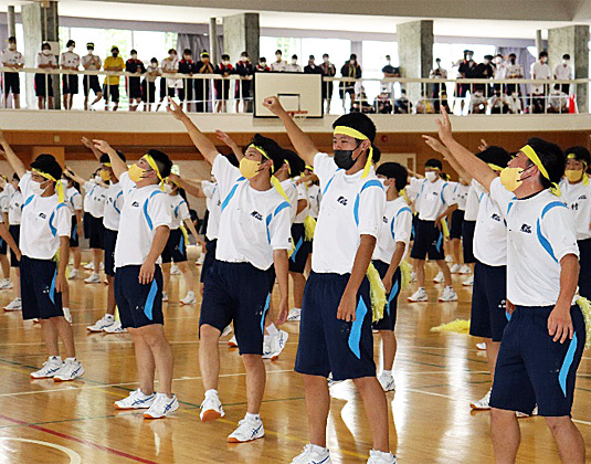 �R�N�c���\�̎ʐ^05