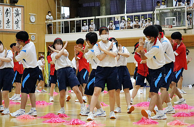 �R�N�c���\�̎ʐ^07