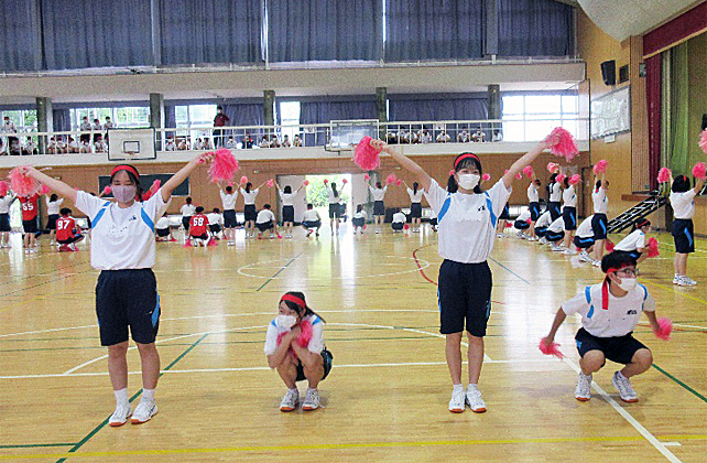 �R�N�c���\�̎ʐ^08