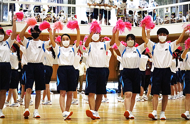 �R�N�c���\�̎ʐ^09