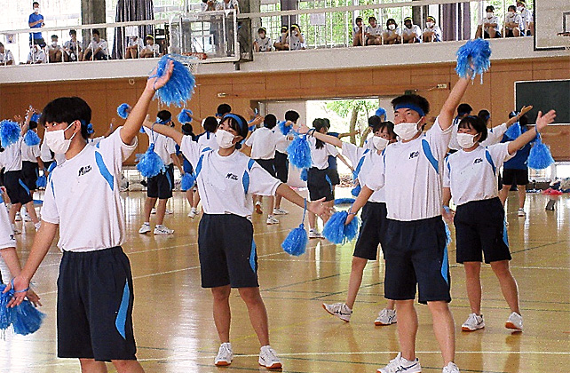 �R�N�c���\�̎ʐ^11