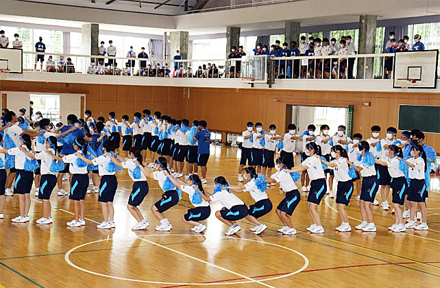 �R�N�c���\�̎ʐ^13