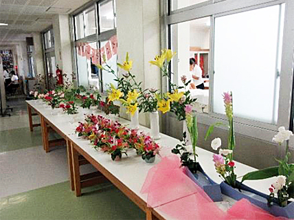 �u���|���D�� ���W�z�z�v�ʐ^