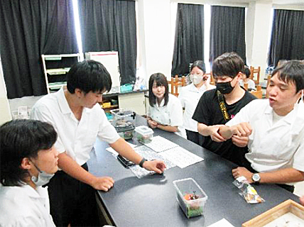 �u�ƒ�N���u �̌��v�ʐ^