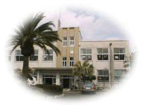 日向市立富高小学校